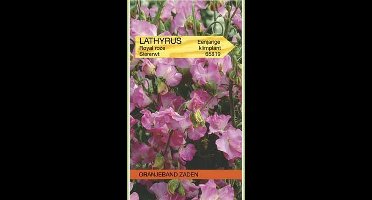 Lathyrus, Reuk- of siererwt Royal, roze