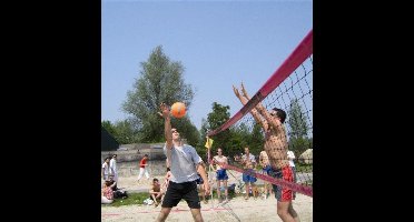 Amigo Beachvolleybalnet Recreatie Zwart/roze850 X 100 Cm
