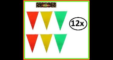 12x Vlaggenlijn rood/geel/groen 10m -vlaglijn carnaval thema feest kleur vlag lijn festival