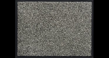 Hamat Deurmat Mars voor Binnen en Buiten - 135 x 200 cm - Beige - Schoonloopmat