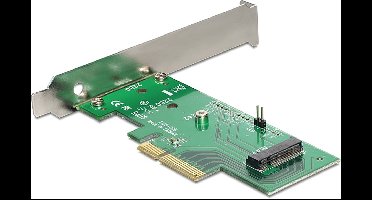 Delock PCI Express x4 Card > 1 x internal NVMe M.2 Key M 80 mm - Low Profile Form Factor