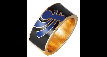 Pierre Cardin Steel - PCRG10008D150 - Ring - Roestvrij staal - goudkleurig