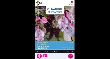 Buzzy® climbing flowers hyacintboon (Lablab purpureus) - Klimplant met paarse bloemen en eetbare peulen