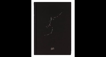 D6053-11 Dreamnotes notitieboek sterrenbeeld: waterman 19 x 13,5 cm