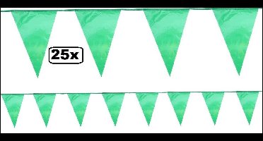 25x Vlaggenlijn groen 10 meter - Vlaglijn thema feest verjaardag festival thema party vlag lijn