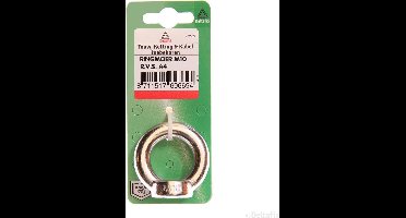 Deltafix oogmoer ringmoer r.v.s. a4 m10 1 st.