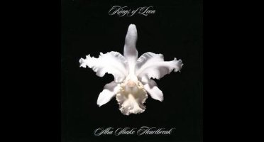 Aha Shake Heartbreak