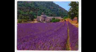 Fellowes Lavendel Veld Optical Muismat