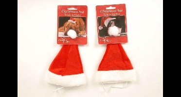 Kerstmuts Hond / Kat