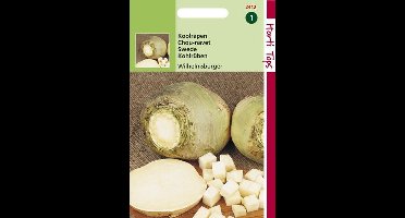 Hortitops Zaden - Koolraap Wilhelmsburger Type Friese