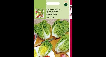 Hortitops Zaden - Bindsla Romeinse mini sla - Little Gem - Sucrine
