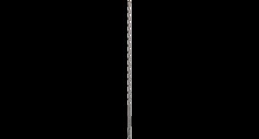 Bosch - Hamerboren SDS-plus S2 10 x 250 x 310 mm