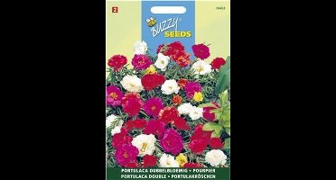Portulaca dubbelbloemig gemengd