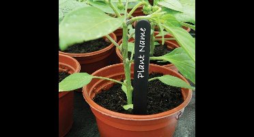 Plantenlabels zwart - 15 cm - set van 50 stuks