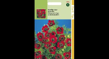 Hortitops Zaden - Adonis Aestivalis Roodbloeiend