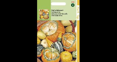 Hortitops Zaden - Cucurbita, Sierkalebas klein-en groot gem.