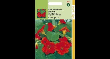 Hortitops Zaden - Tropaeolum Scarlet Gleam Rood