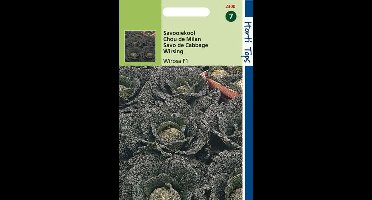 Hortitops Zaden - Savooiekool Wirosa F1-Hybride