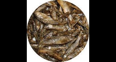 Vivani Gedroogde Visjes 5 liter