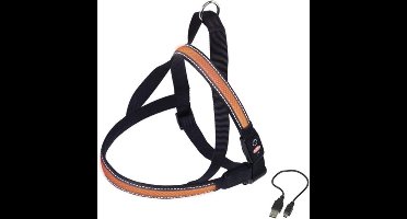 Nobby Verlicht Tuig - Hondentuig - Oranje - 80-100 x 56 cm