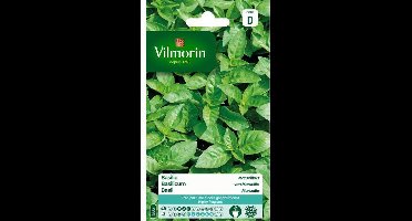 Basilicum van Marseille - Ocimum basilicum