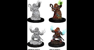 Pathfinder Battles Deep Cuts Unpainted Miniatures: Dwarf Summoner, female