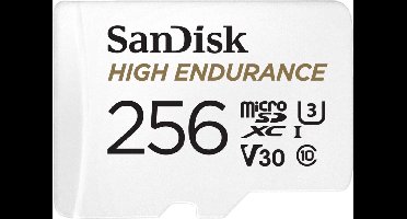 Micro SD-Kaart SANDISK SDSQQNR 256 GB