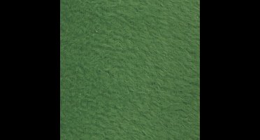 Fleece, L: 125 cm, B: 150 cm, 200 gr, groen, 1 stuk