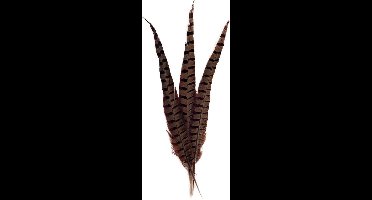 Veren Fazant 20 stuks 40cm