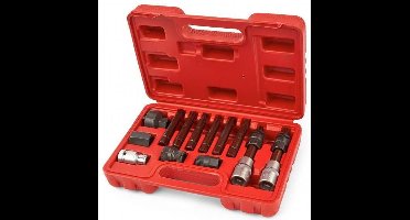 Dynamo Montage Gereedschapset, Reparatieset 13 Delig