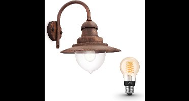 Philips Hue Raindrop Wandlamp voor Buiten (Koper) - Buitenlamp - E27 - Warmwit Licht - Hue White Filament