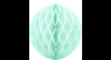 Honeycomb Bal Mintgroen 20cm