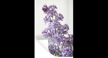 Muurstickers - Sticker Folie - Kleine details op de seringen - 20x30 cm - Plakfolie - Muurstickers Kinderkamer - Zelfklevend Behang - Zelfklevend behangpapier - Stickerfolie