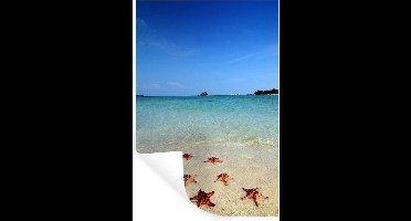 Muurstickers - Sticker Folie - Zeester - Water - Golf - 20x30 cm - Plakfolie - Muurstickers Kinderkamer - Zelfklevend Behang - Zelfklevend behangpapier - Stickerfolie