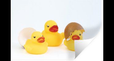 Muurstickers - Sticker Folie - Drie bad eenden met eierschil - 30x20 cm - Plakfolie - Muurstickers Kinderkamer - Zelfklevend Behang - Zelfklevend behangpapier - Stickerfolie