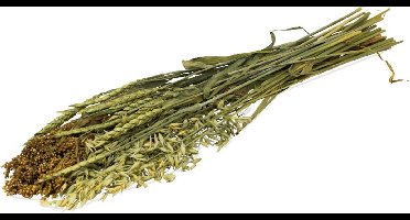 Jr Farm Zomer-Oogst - Ruwvoer - 16x3x60 cm 80 g