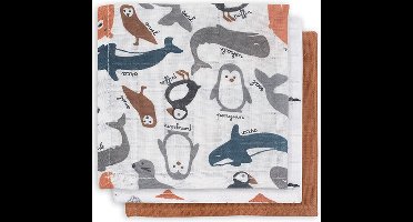 Jollein Hydrofiel Monddoekje Polar - 3 Stuks