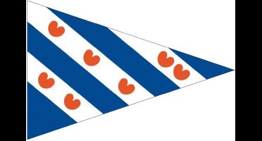 Stijlvolle Provincievlag Friesland Puntvlag Bootvlag 20x30 - Talamex