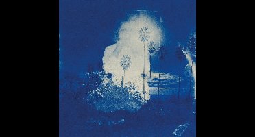 Fruit Bats - A River Running To Your Heart (CD)