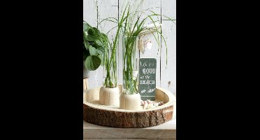 Houten basisvoet met reageerbuis Ø 5 cm en 28 cm hoog (1 pc)