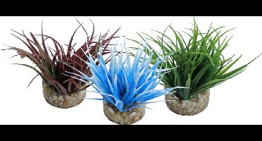 Sydeco aqua nano mos 8CM per stuk