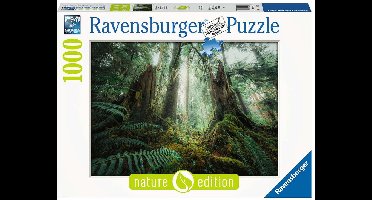 Ravensburger puzzel In het bos - Legpuzzel - 1000 stukjes
