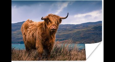 Schotse hooglander bij een prachtig meer Poster 30x20 cm - klein - Foto print op Poster (wanddecoratie woonkamer / slaapkamer) / Wilde dieren Poster