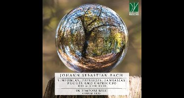 In Tempore Belli Guitar Trio - J.S. Bach: Sinfonias, Preludes, Fantasias, Fugues and Capriccio For Guitar Trio (CD)