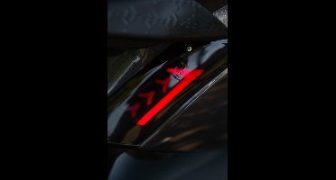 Alpha Arrow Tube LED Knipperlichtset Achter Smoke – Geschikt voor Piaggio Zip Matrix – E-Gekeurd – L+R