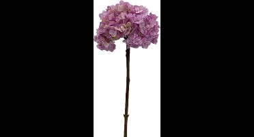 Kunstbloem hortensia 66 cm, paars