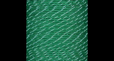 Rol 100 meter - Groen Reflecterend Paracord 550 - #54