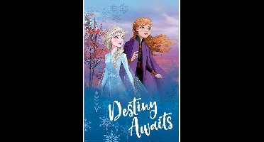 Pyramid Poster - Disney Frozen Destiny Awaits Maxi - 1 X 610 Cm - Blue