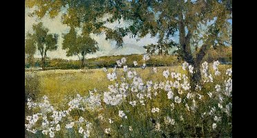 Kunstdruk Patrick - Summer Bloom 91x61cm