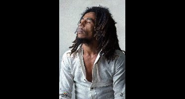 Bob Marley Redemption Poster 61x91.5cm